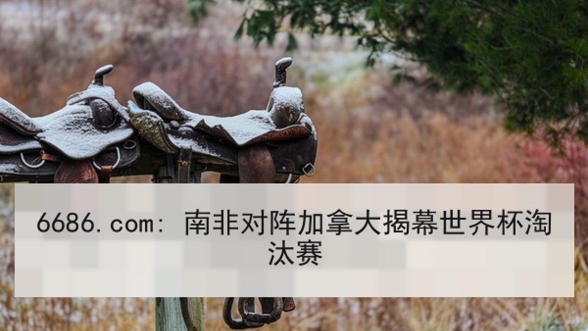 6686.com: 南非对阵加拿大揭幕世界杯淘汰赛