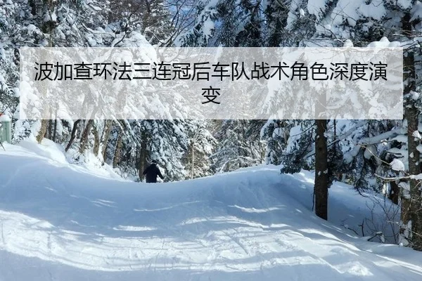 bo-jia-cha-huan-fa-san-lian-guan-hou-che-dui-zhan-shu-jue-se-shen-du-yan-bian-3-754.jpg