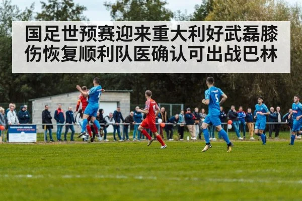 国足世预赛迎来重大利好武磊膝伤恢复顺利队医确认可出战巴林